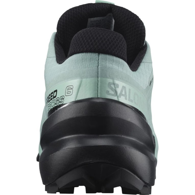 Salomon Speedcross 6 GTX Trailove Bezecke Tenisky Damske Mätové | SK 9LHVRW